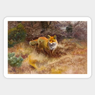 Fox and Landscape by Bruno Liljefors Sticker